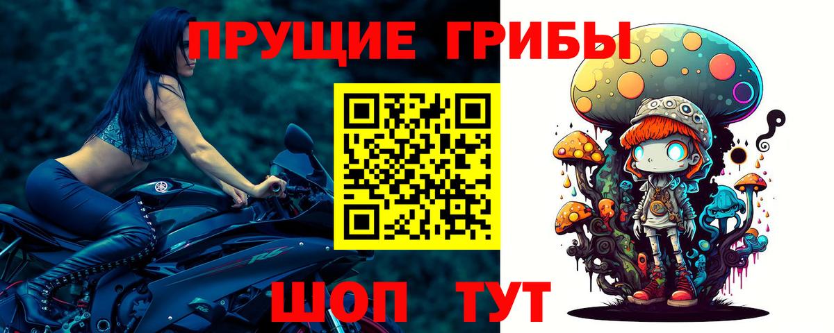 Псилоцибиновые грибы ЛСД Киселёвск